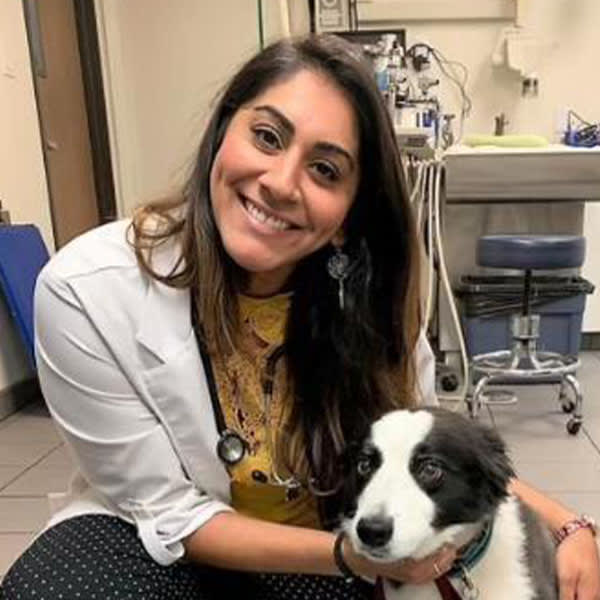 Dr. Tina Madan, Anaheim Veterinarian