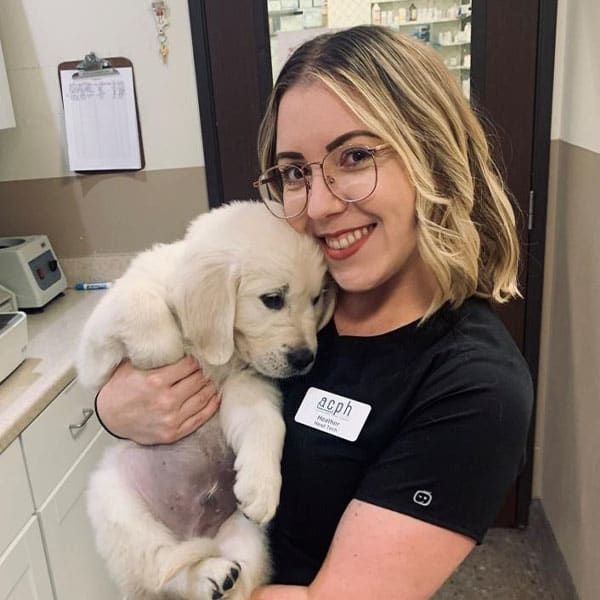 Heather, Anaheim Practice Manager