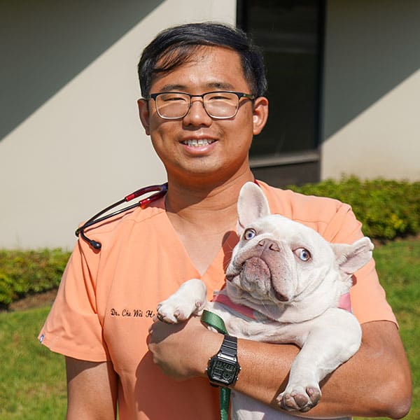 Dr. Jacky Hsu, Anaheim Veterinarian
